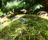 mini pounamu growth ring - light green