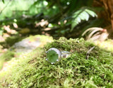 mini pounamu growth ring -light green / dark inclusion